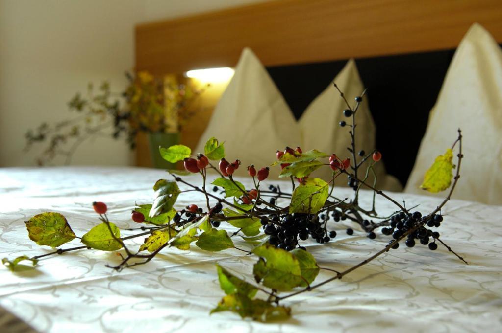 Villa Tilia Siusi Oda fotoğraf